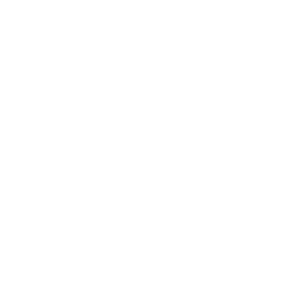 automotriz