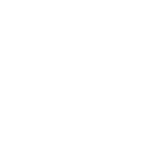 ELECTRONICA